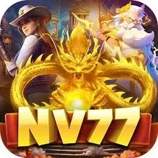 nv77 Logo